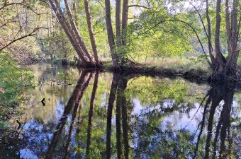 Immobilie der Woche (002)