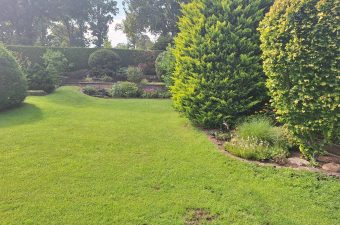 Immobilien der Woche